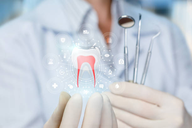 Best Preventive Dentistry  in Tazewell, TN